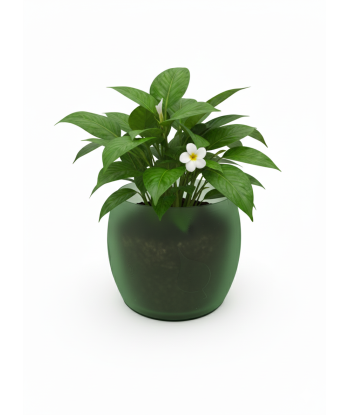 Doniczka z listkiem (BIO)