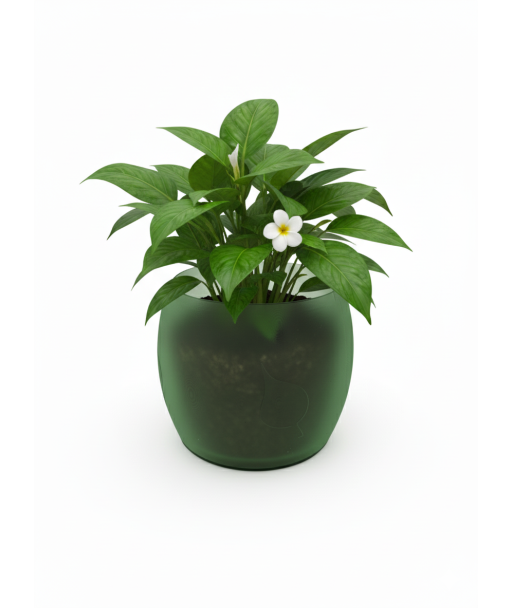 Doniczka z listkiem (BIO)