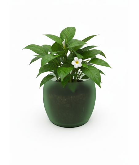 Doniczka z listkiem (BIO)